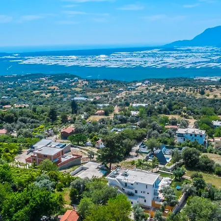 Vila Avantgarde-1
