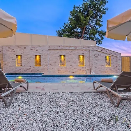 Avantgarde-1 فيلة
