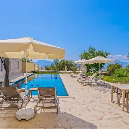 Villa Avantgarde-1 *